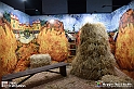 VBS_8120 - Van_Gogh_experience